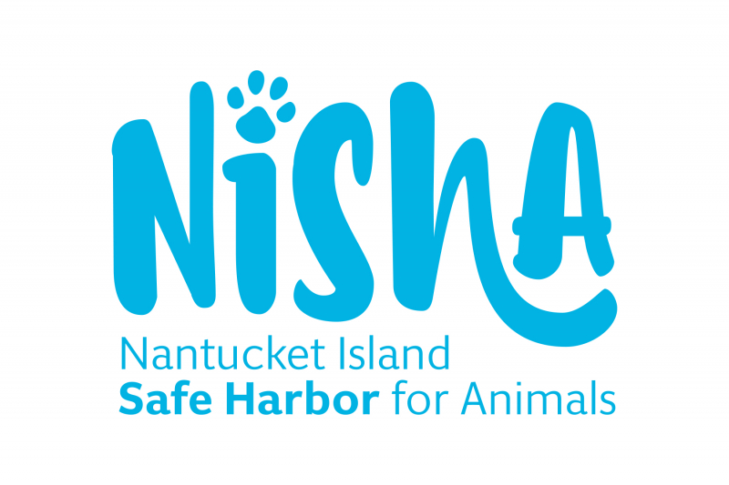 NiSHA Logo