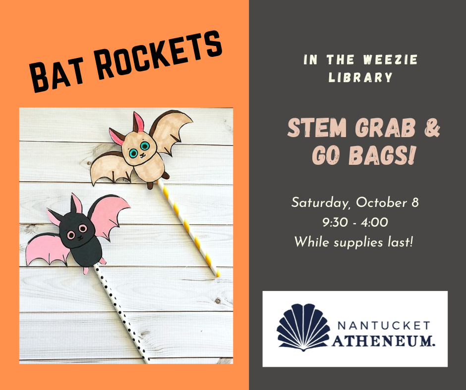 STEM Grab & Go Bag: Bat Straw Rockets