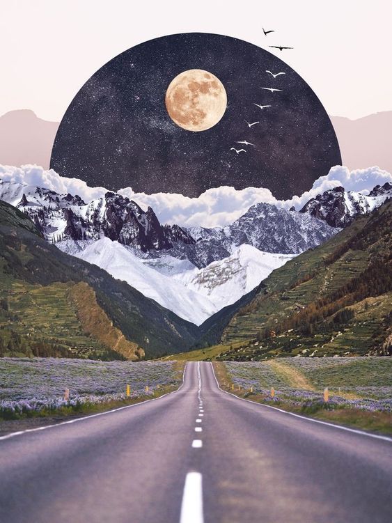 Collage of road, mountains, the ocean, birds