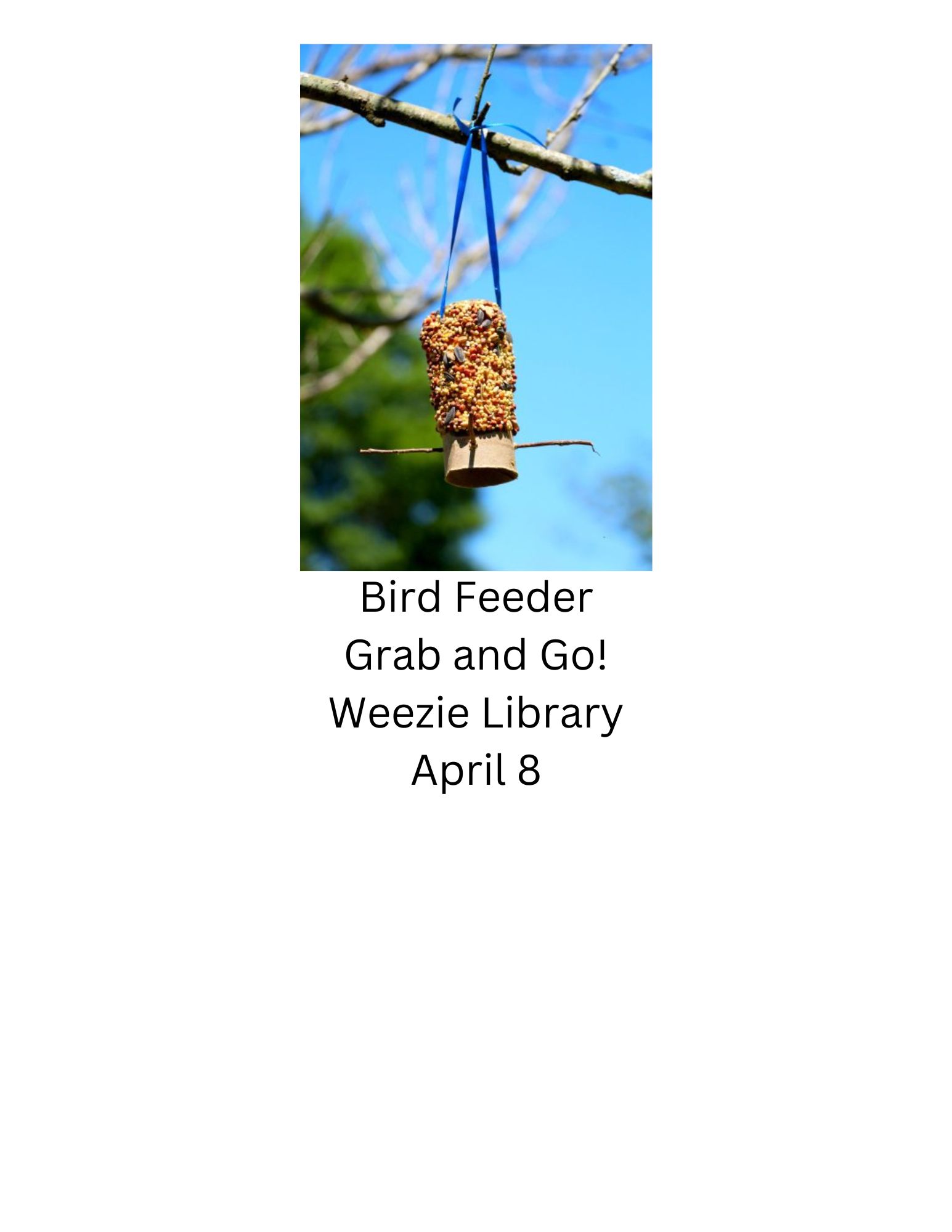 Grab and Go Bird Feeder and Perch