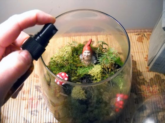 Glass jar terrarium with green moss, and clay dwarf and mushrooms. A hand is seen holding a spray bottle to wet the moss.