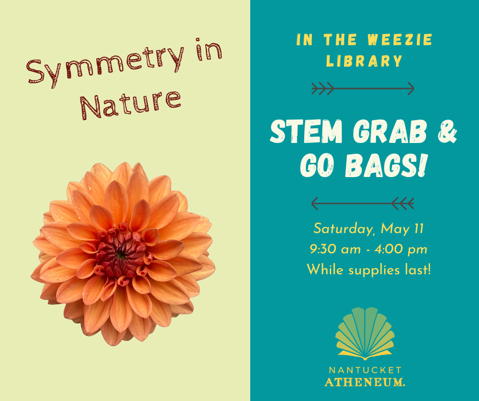 STEM Grab & Go Bag: Symmetry in Nature