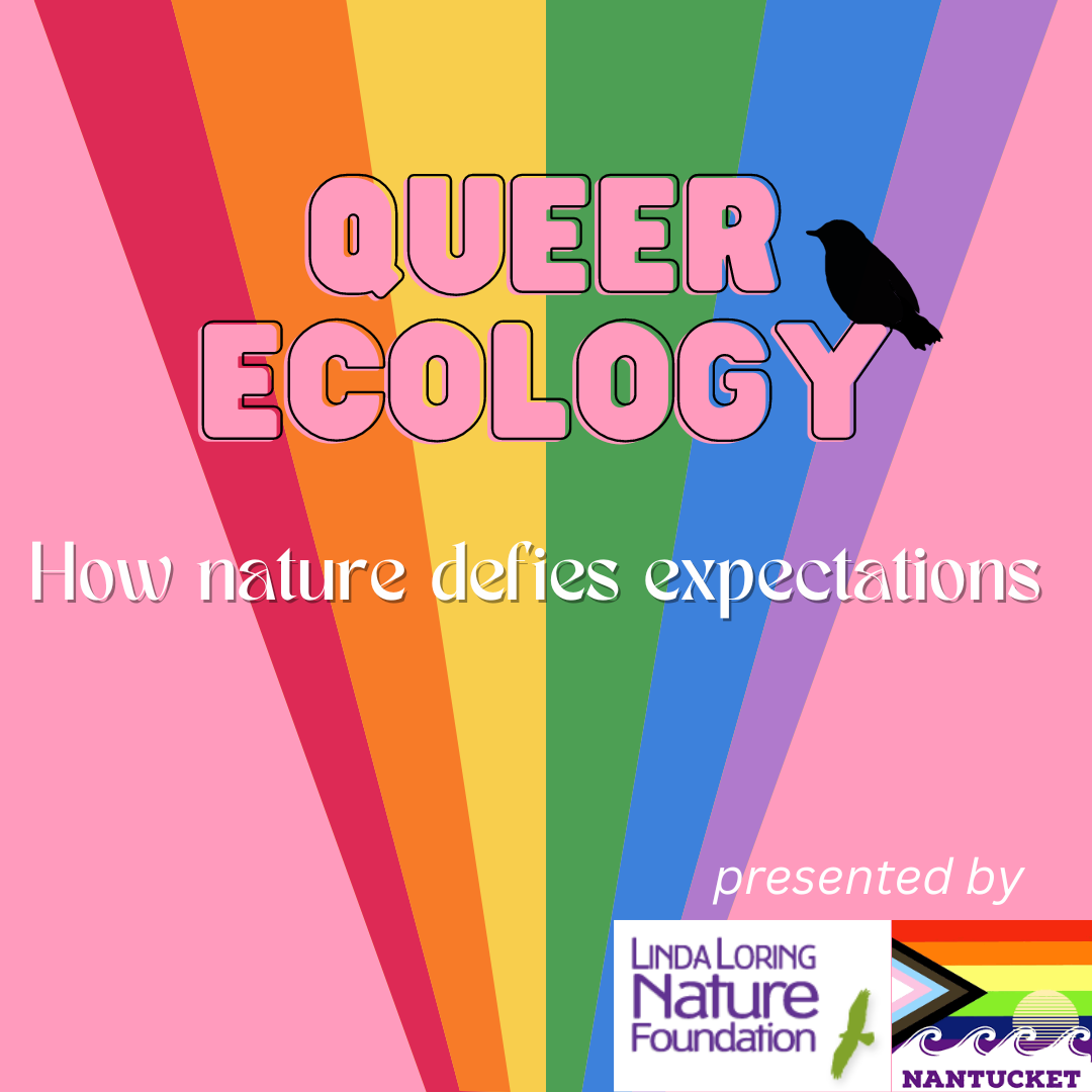 queer ecology