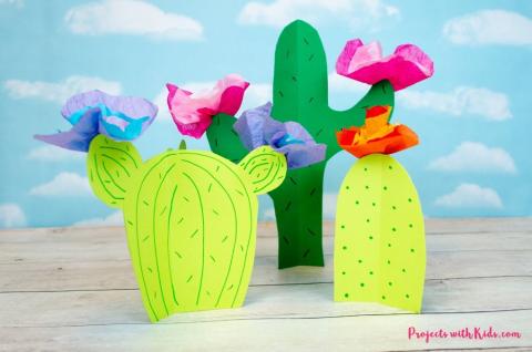 paper cactus