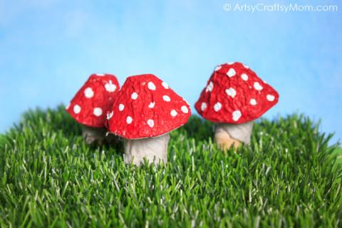 Fantastic Fungi Grab and Go