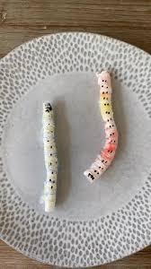 These colorful worms will wiggle when you add a drop of water to them!