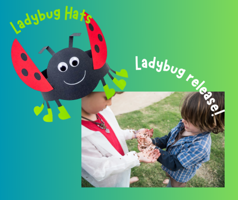 ladybug hat