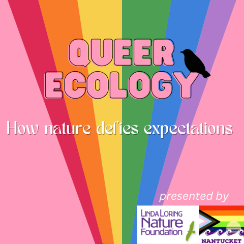 queer ecology