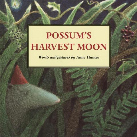 possum