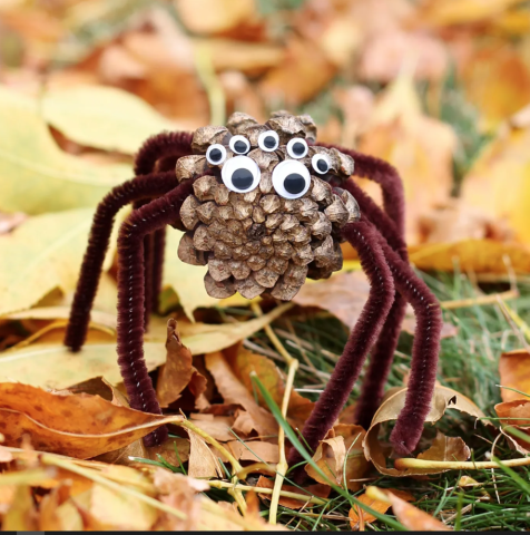 pinecone spider with pipe cleaner legs and googly eyes