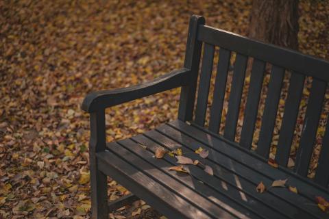 Park Bench 