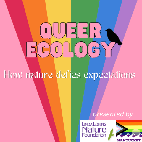 Queer Ecology Graphic