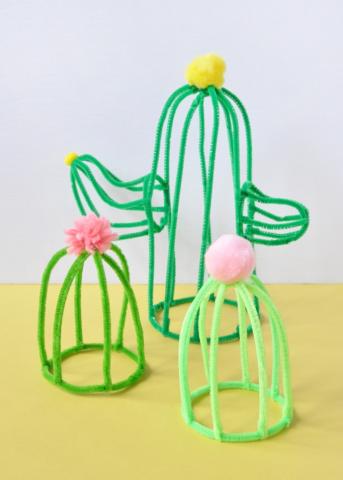 Blossoming Cacti