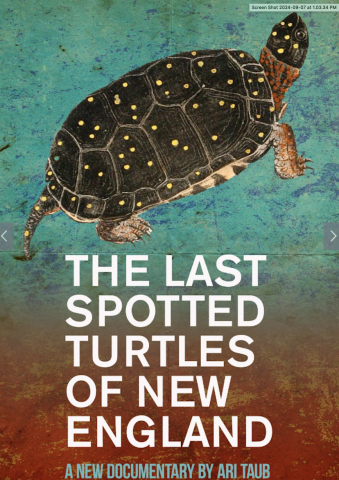 Documentary Film: The Last Spotted Turtle of New England