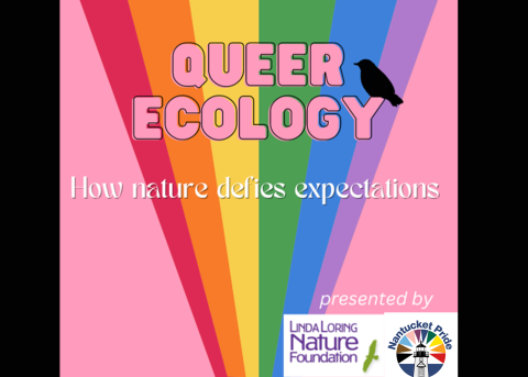 Queer Ecology Graphic