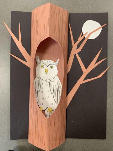 owl hiding in a tree