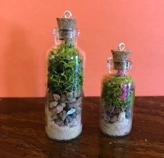 Teen Take & Make: Teeny Tiny Terrariums