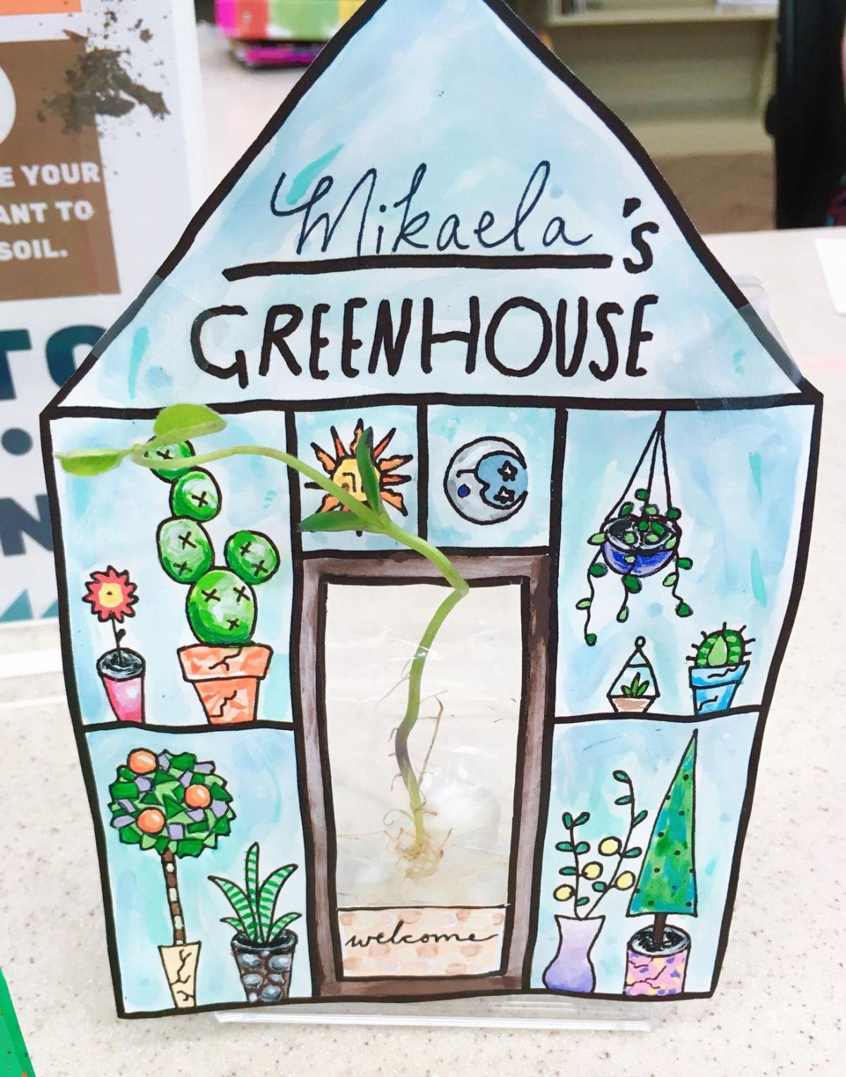 Paper Greenhouse