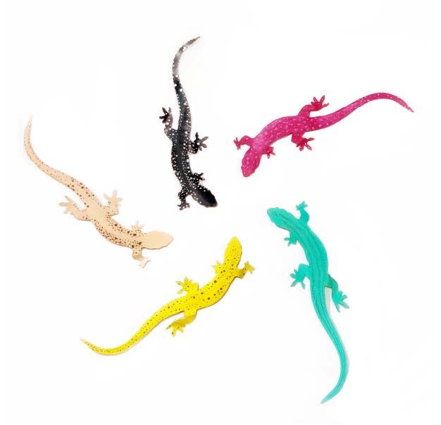 a group of colorful lizards facing center