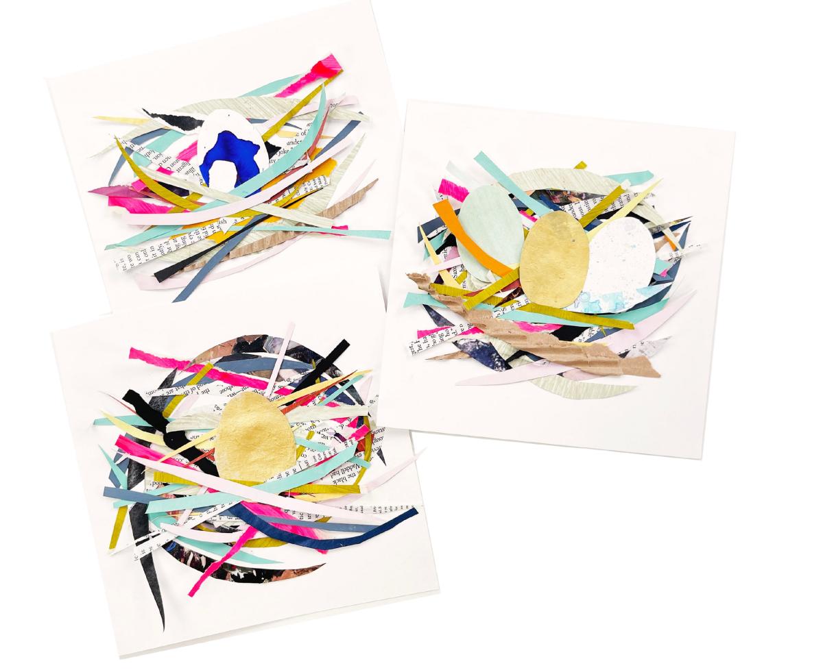 bird nest collage